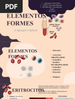 Elementos Formes