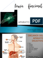 12 Aparato Digestivo