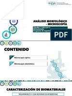 Análisis Morfológico Por Microscopía PDF