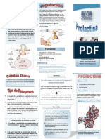 Prolactina Triptico