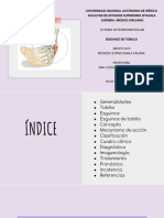 TAREA 8 Presentación Esguince de Tobillo