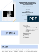 TAREA 7 Presentación Fracturas