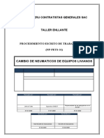 Np-Pets-31 Cambio de Neumaticos de Equipos Livianos