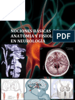 Neurologia Basica y Aplicada