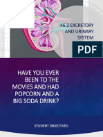 46.2 Excretory and Urinary System