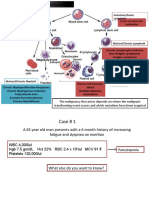 Heme Malignancy Review 2020