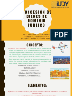 Concesión de Bienes de Dominio Publico