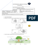 Guía 3° Básico N°1 Ciencias Naturales, Las Plantas