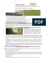 5to Grado Tarea 17 09 20 PDF