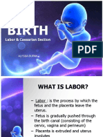 Birth: Labor & Caesarian Section