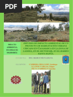 Impacto Ambiental PDF