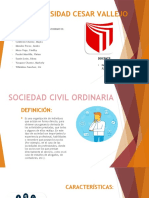 Sociedad Civil Ordinaria