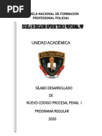 Nuevo Codigo Procesal Penal PDF