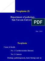 Neoplasia (I) : Department of Pathology, Sun Yat-Sen University