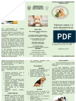 Nutricion Canina Triptico Final Corregido