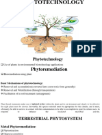 Phytoremediation