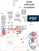 Mapa Mental Sistema Cardiovascular Ou Circulatório