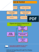 Sistema Nacional de Control: Conjunto de Órganos de Control Conducir y Desarrollar