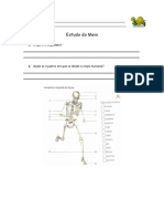 Estudo Do Meio 4 ANO