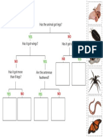 Animalflowchart 1