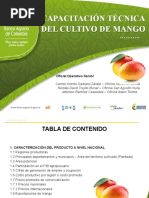 Exposición Capacitaciones Técnicas - Mango