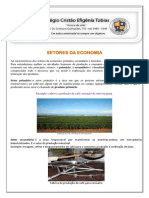 Atividade Economica PDF