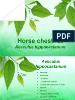 Horse Chestnut Presentation