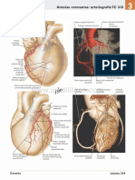 Atlas de Anatomia Humana Netter 6ed Medilibros - Com 123