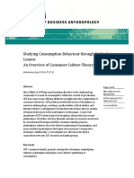 Studying Consumption Behaviour Through Multiple Lenses - An Overview of Consumer Culture Theory