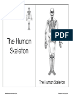 Skeleton Nomenclature Cards NF-48