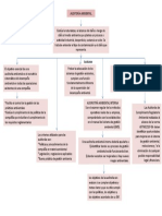 1era Asignacion Auditoria Ambiental Virginia Bermudez Mapa Conceptual