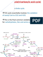 Also Known As TCA Cycle Essentially Involves This Is The Final Common Oxidative Pathway For