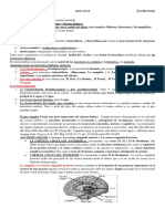 Anatomia RESUMEN TELENCEFALO 2 Arquicorteza 13-14