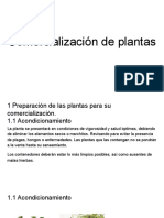 Comercialización de Plantas