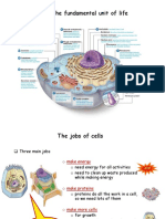 Lecture 9. Cell and Cell Organelles