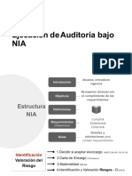 Ejeucuioin de Auditoria