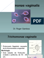 Trichomonas