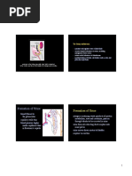 Formation of Urine: Formation of Urine