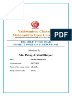 Tuberculosis Project Report pdf3 PDF