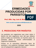 Enfermedades Producidas Por Parasitos