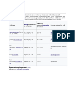 Stages: Spermatocytogenesis