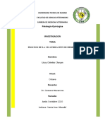 Tarea Investigacioin PDF - Chlic