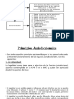 Principios Jurisdiccionales Profe