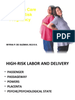 High - Risk Labor and Delivery 2