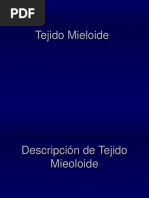 Tejido Mieloide PDF