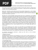 Metacompetencias de Un Coach Astrologico Organizacional PDF