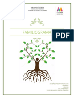 FAMILIOGRAMA