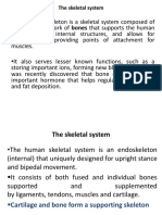 The Skeletal System