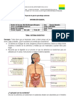 Ciencias Naturales Sistema Digestivo