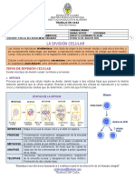 Guia #3 La División Celular Sextos